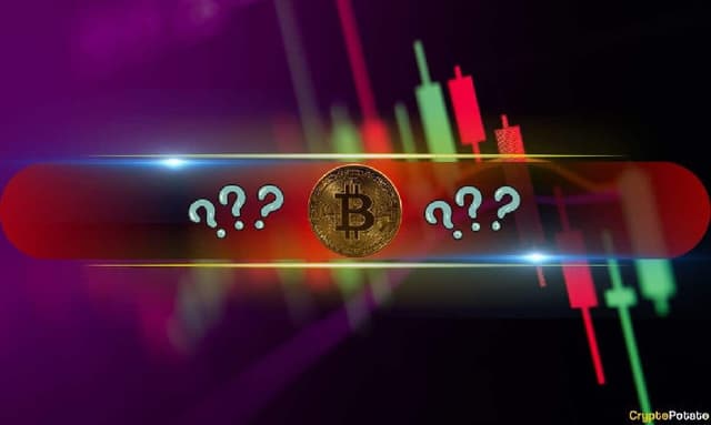 These Altcoins Bleed Out as Bitcoin (BTC) Loses $96K Level (Market Watch)