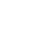 Application Programming Interface (API)