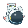 Cat Token (CATTO)