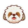 Shih Tzu (SHIH)