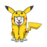 Pikachu Inu (PIKACHU)