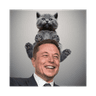 ELON CAT COIN (ELONCAT)