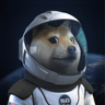 SpaceXDoge (SDOGE)