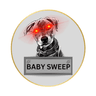 BabySweep (BABYSWEEP)