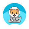 Shiba Interstellar (SHINT)