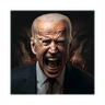 BIDEN 2024 (BIDEN2024)