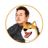 ELON DOGE (ELONDOGE)