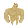 Swole Doge (SWOLE)