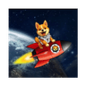 Starship Doge (STARSHIPDOGE)