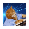 Keyboard Cat (KEYCAT)