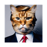 TRUMPCAT (TRUMPCAT)