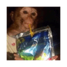 Caprisun Monkey (CAPRI)