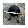 crow with knife (CROWWITH)